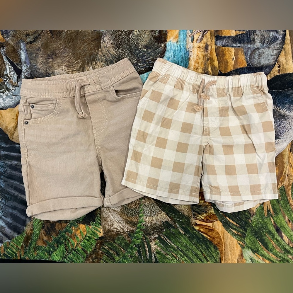 Cat & Jack Shorts 2T